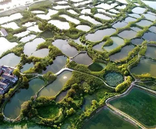 羅茨鼓風(fēng)機(jī)主要作用是什么？